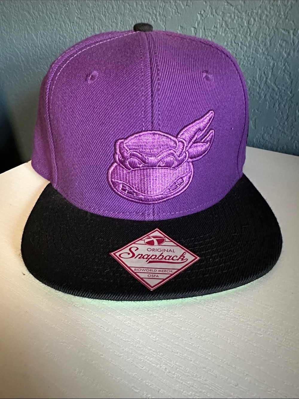 Bioworld Purple and Black Snapback with Embroidered Turtle